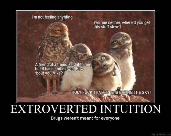 5640daa533071a8925310e384eaea4ea