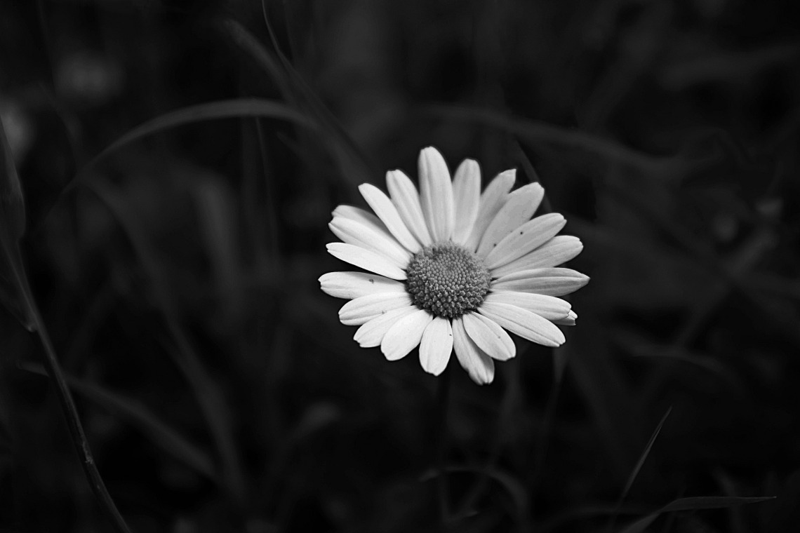 15790258794_50351f1925_k