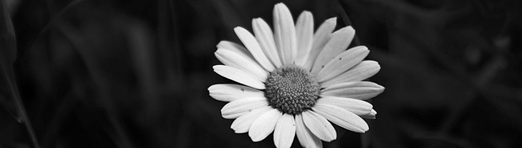 15 quotes to help you embrace your&nbsp;loneliness